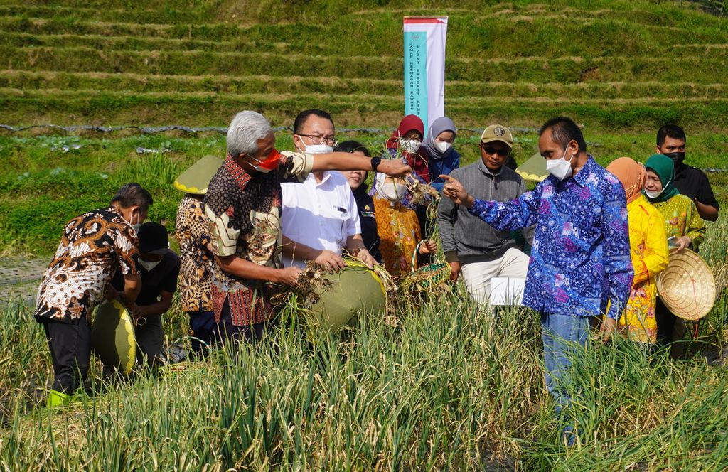  Gubernur Jawa Tengah Ganjar Pranowo bersama sejumlah pejabat dari Bank Indonesia serta IPB University dan  para petani lokal panen bawang putih di Desa Tuwel, Kecamatan Bojong, Kabupaten Tegal, Jawa Tengah, Jumat (12/8/2022). 