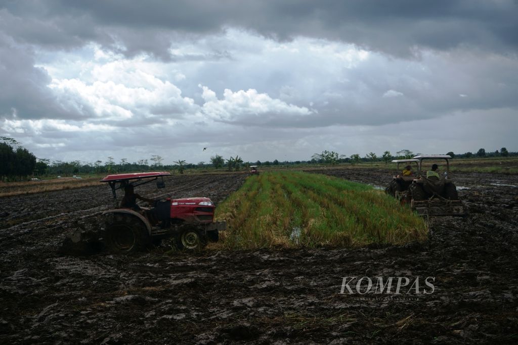 Warga Desa Belanti Siam menyiapkan sawah mereka sebelum ditanam kembali di Kabupaten Pulang Pisau, Kalteng, Jumat (4/9/2020). Kawasan itu merupakan kawasan <i>food estate</i> yang dikunjungi Presiden Jokowi beberapa waktu lalu.