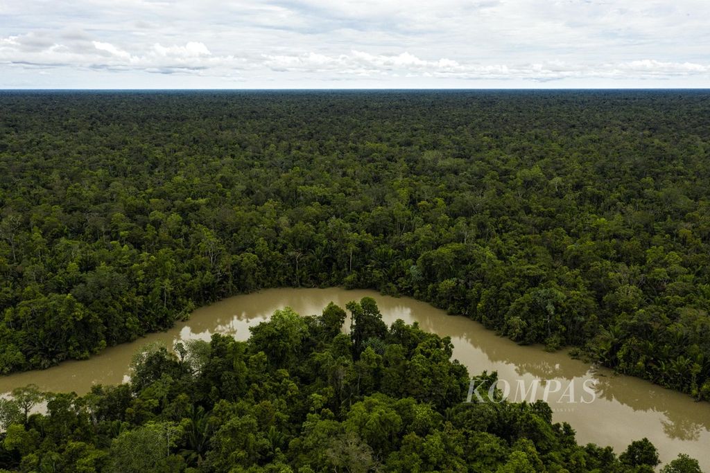 Hutan adat suku Asmat di kawasan Distrik Pulau Tiga, Kabupaten Asmat, Papua (14/10/2021). Di hutan inilah warga Asmat menggantungkan hidupnya dengan meramu dan berburu. 