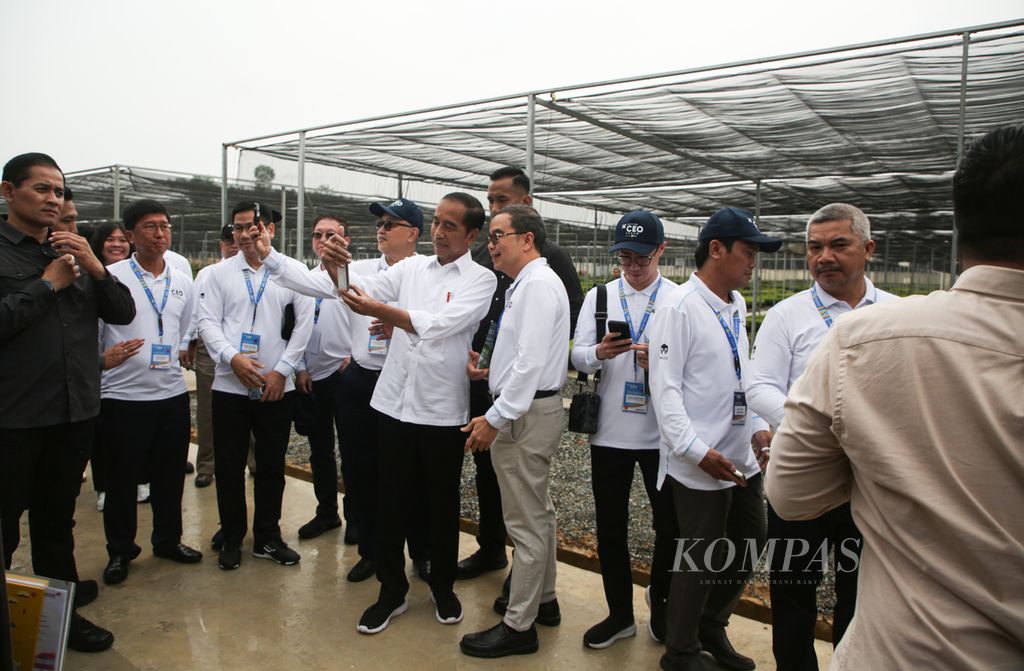 Para CEO yang mengikuti Kompas100 CEO Forum Powered By PLN berfoto bersama Presiden Joko Widodo saat berkunjung ke persemaian Mentawir di Kabupaten Penajam Paser Utara, Kalimantan Timur, Kamis (2/11/2023).
