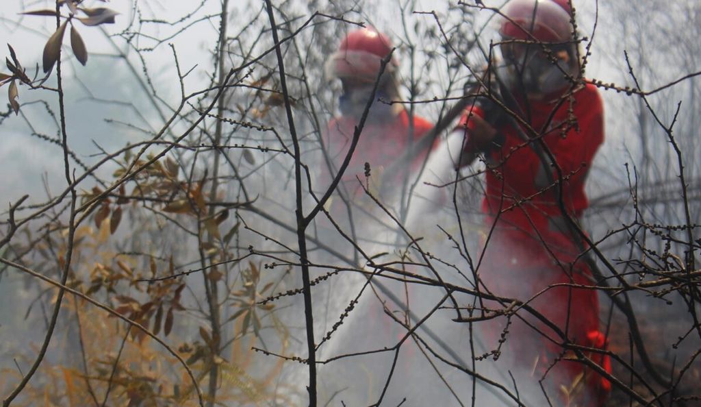 Petugas Manggala Agni memadamkan api yang menghanguskan sekitar 20 hektar lahan gambut di Kecamatan Pangkalan Lampam, Kabupaten Ogan Komering Ilir, Sumatera Selatan, Kamis (10/8/2023). 