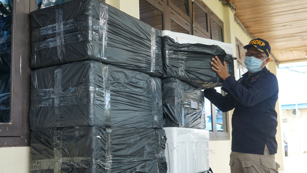 Officers from the Palembang Marine and Fisheries Resource Supervision lifted a box containing 517,000 sand and pearl lobster seeds on Friday (29/4/2022). According to the plan, these lobster seeds will be illegally transported to Vietnam and Singapore via sea route.
