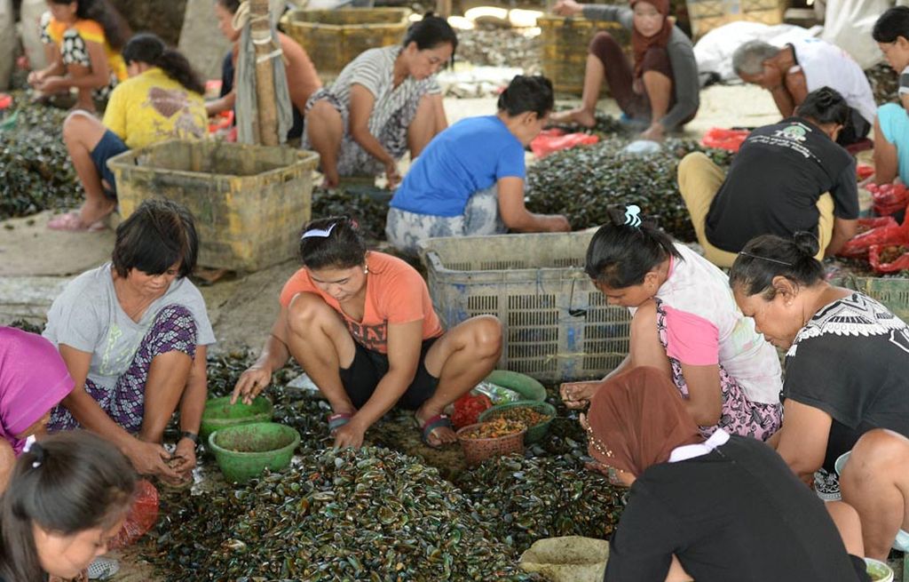 Aktivitas para buruh kupas kerang hijau di kawasan Teluk Jakarta, Kali Baru, Cilincing, Jakarta, Jumat (8/9). Sejumlah penelitian menyebutkan bahwa kerang hijau yang dibudi daya di kawasan tersebut mengandung logam berat dalam kadar tinggi akibat parahnya pencemaran di perairan Teluk Jakarta.