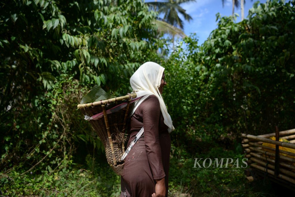 Warga menggendong tas saloi yang dibuat dari anyaman rotan di Kecamatan Morotai Selatan, Kabupaten Pulau Morotai, Maluku Utara, Kamis (14/3/2019).