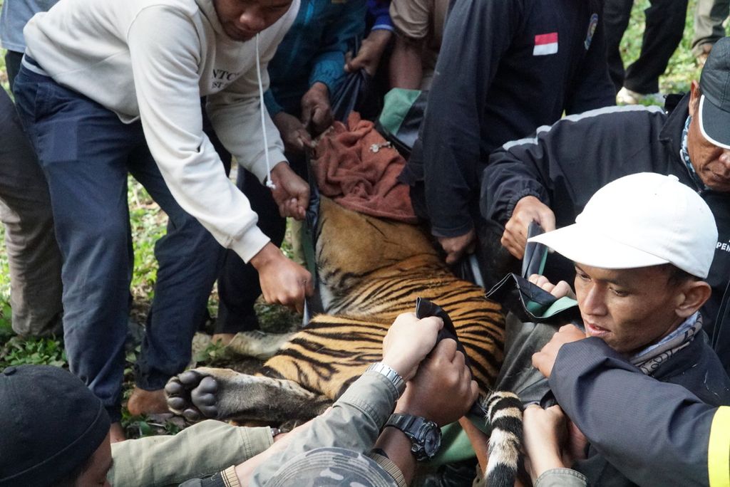 https://cdn-assetd.kompas.id/RPMWsVCgNNePhMHuv3j2oh3QpNk=/1024x684/https%3A%2F%2Fkompas.id%2Fwp-content%2Fuploads%2F2020%2F06%2F1dd51dfa-30ad-4188-b65f-b61c075d59c1_JPG.jpg