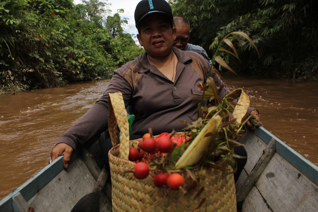 Ambun Suteng dan suaminya, Sanyo, warga Desa Kalumpang, Kabupaten Kapuas, Kalimantan Tengah, mencari sayuran liar di bekas ladang yang biasa ia tanami padi, Rabu (20/7/2022).