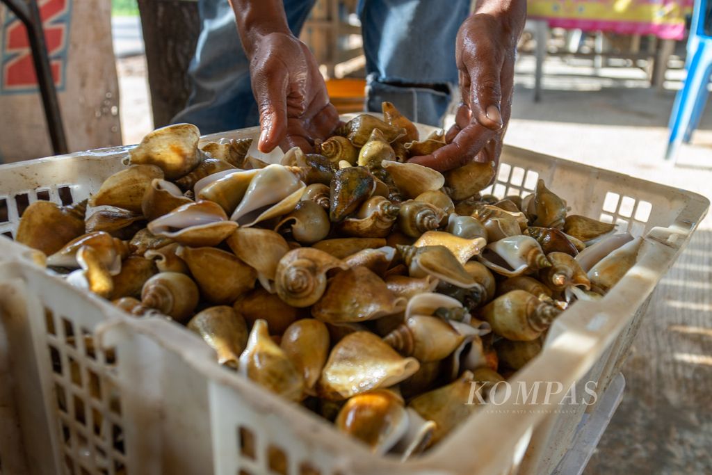 Pedagang mencuci siput gonggong sebelum dijual di warung boga bahari (<i>seafood</i>) kaki lima di jalan sekitar Pantai Marina, Batam, Kepulauan Riau, Rabu (26/4/2023). 