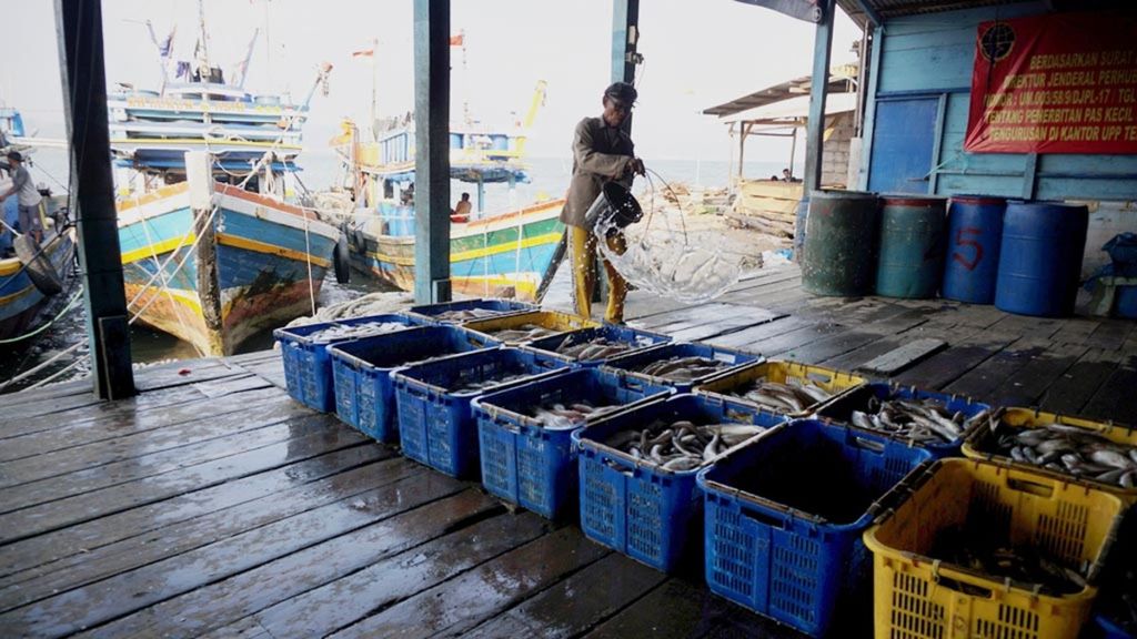 Nelayan mengumpulkan ikan tangkapan di tempat pendaratan ikan di kawasan Gudang Lelang, Kecamatan Teluk Betung Selatan, Kota Bandar Lampung, Lampung (24/7/2018). Pemerintah menetapkan tarif baru penerimaan negara dari sektor perikanan melalui PP 85/2021. Kapal dengan kapasitas 5 GT milik nelayan kecil ikut dikenai pajak.  