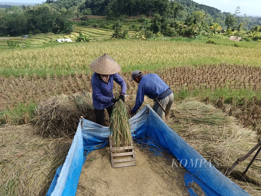 The farming activities in Megaterasering Sukamulya Tourist Village, Pangandaran Regency, on May 4th, 2024, are visible. Visitors can experience farming activities through agricultural tourism packages in Megaterasering Sukamulya.