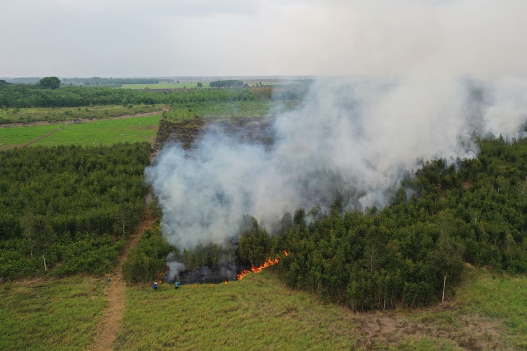 Gambar dari udara situasi kebakaran lahan di Desa Talio Hulu, Kabupaten Pulang Pisau, Kalimantan Tengah, Selasa (12/11/2019).