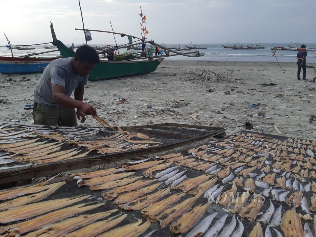 Nelayan menjemur ikan layur di pinggir pantai kampung nelayan tradisional Malabero, Kota Bengkulu, Provinsi Bengkulu, Rabu (15/11/2023). Keluarga nelayan membuat usaha pengolahan ikan asin untuk meningkatkan pendapatan.