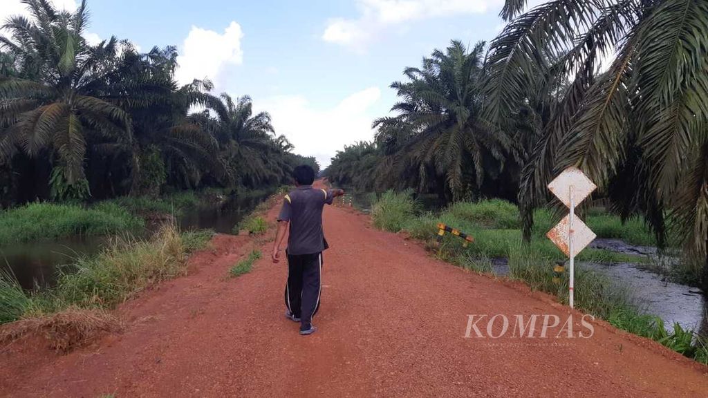 Salah satu warga Penyang, Kecamatan Telawang, Kabupaten Kotawaringin Timur, Kalimantan Tengah, Kamis (9/5/2024), mencoba menunjukkan lokasi yang diduga sebelumnya merupakan kuburan leluhurnya di sebuah wilayah perkebunan.