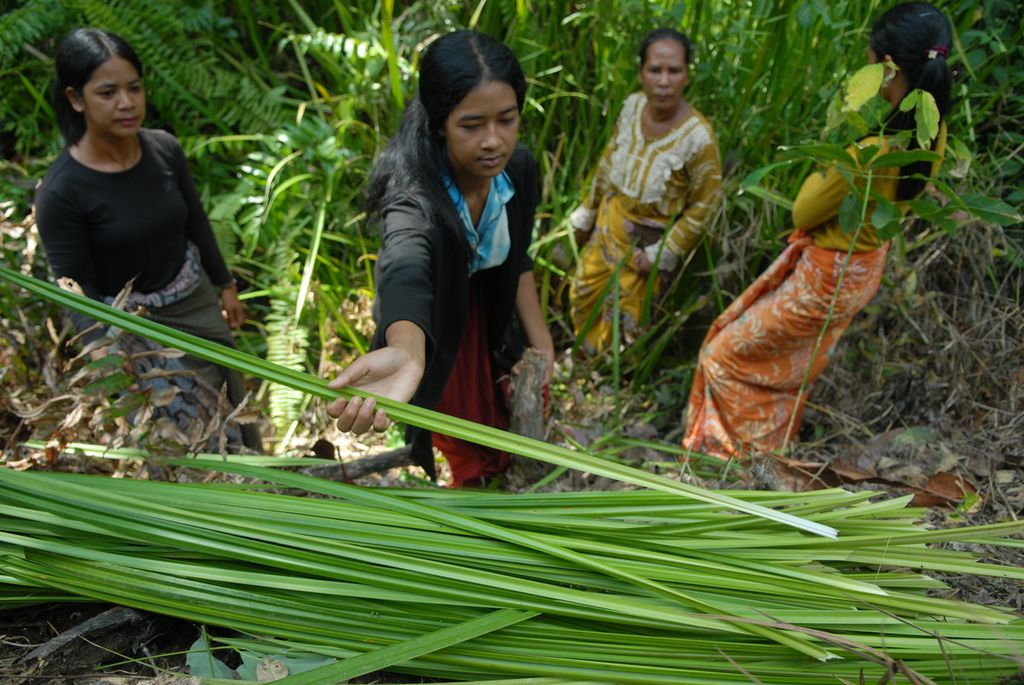 A number of jungle mothers harvest sago palm leaves around their settlements in the Pelepat area, Bungo Regency, Jambi, Friday (3/6/2022). Rumbia is processed into woven mats or bedding. Natural raw materials are increasingly difficult to obtain as forests shrink.