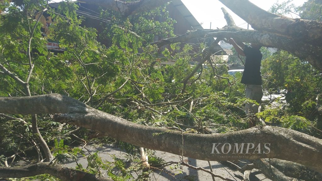 Angin kencang, Selasa (2/10/2019), mengakibatkan sebuah pohon di Jalan Sartono SH, di Kelurahan Ciptomulyo, Kelurahan Sukun, Kota Malang, Jawa Timur, patah dan menutup jalan.