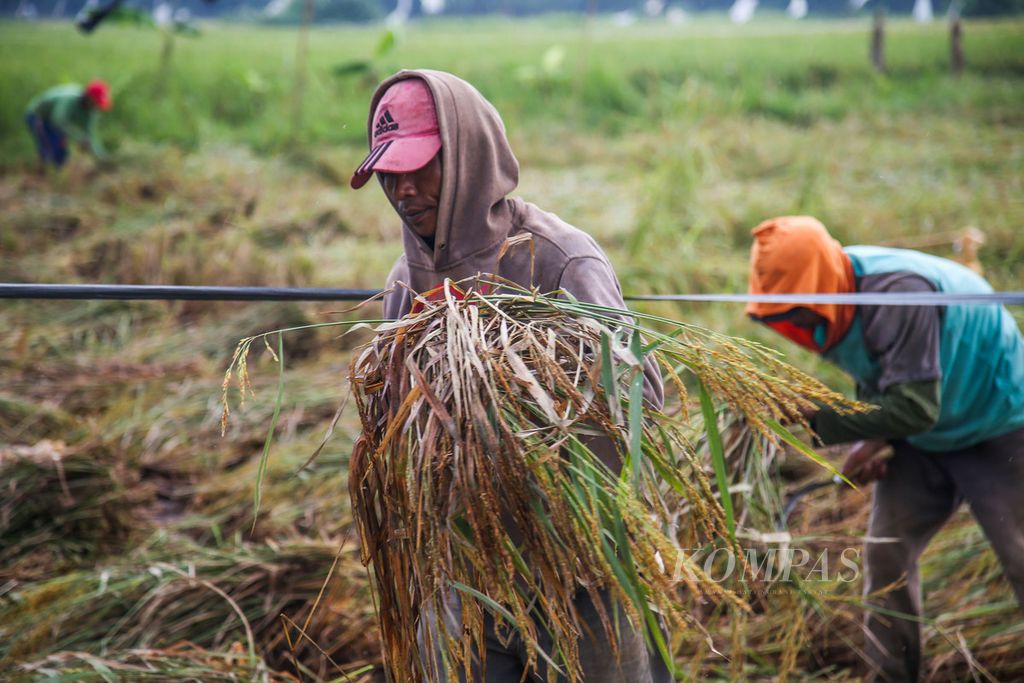 https://cdn-assetd.kompas.id/RfV0ILZl7Je9bTlZELShG3PjG6k=/1024x683/filters:watermark(https://cdn-content.kompas.id/umum/kompas_main_logo.png,-16p,-13p,0)/https%3A%2F%2Fkompas.id%2Fwp-content%2Fuploads%2F2020%2F04%2F27a946b2-c34e-491a-9443-b5d47f872d26_jpg.jpg