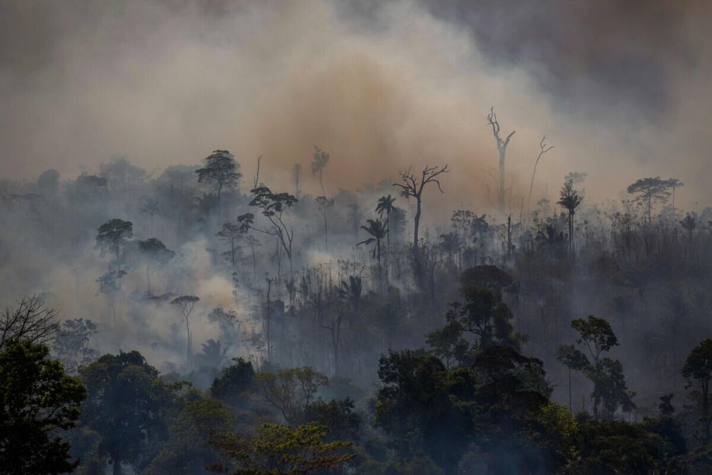 Hutan Amazon yang terbakar di Altamira, Negara Bagian Para, Brasil, Selasa (27/8/2019). Brasil membuka diri terhadap bantuan asing untuk memadamkan kebakaran Amazon dengan syarat merekalah yang mengatur sepenuhnya alokasi pengeluaran bantuan itu.