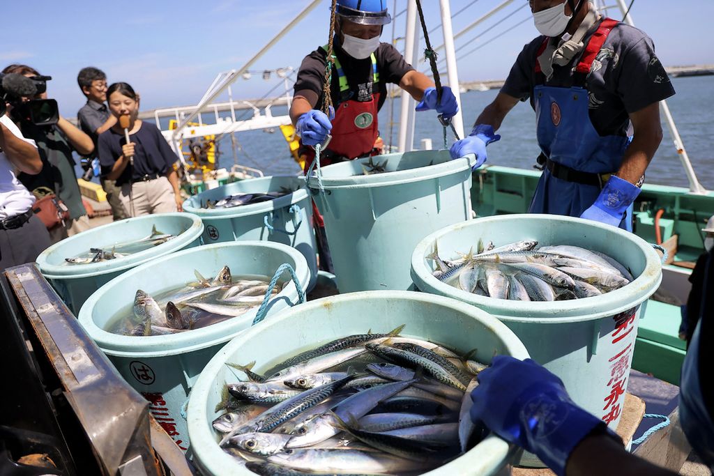 Pekerja sektor perikanan membongkar ikan hasil tangkapan lepas laut di Pelabuhan Matsukawaura di Soma, Fukushima, 1 September 2023. 