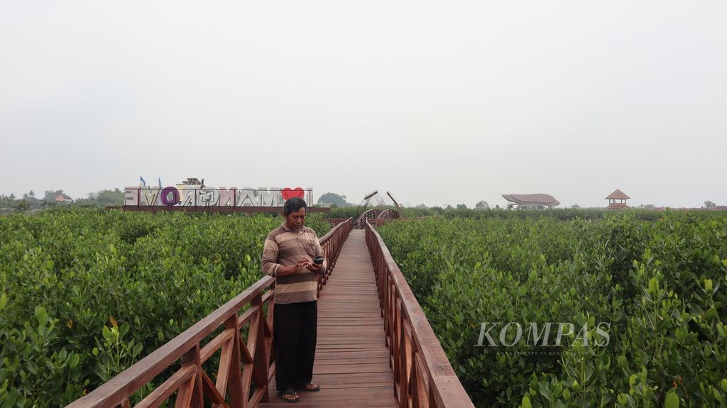 Aneka jenis mangrove memenuhi Ketapang Aquaculture di Kecamatan Mauk, Kabupaten Tangerang, Banten, Kamis (20/10/2022).