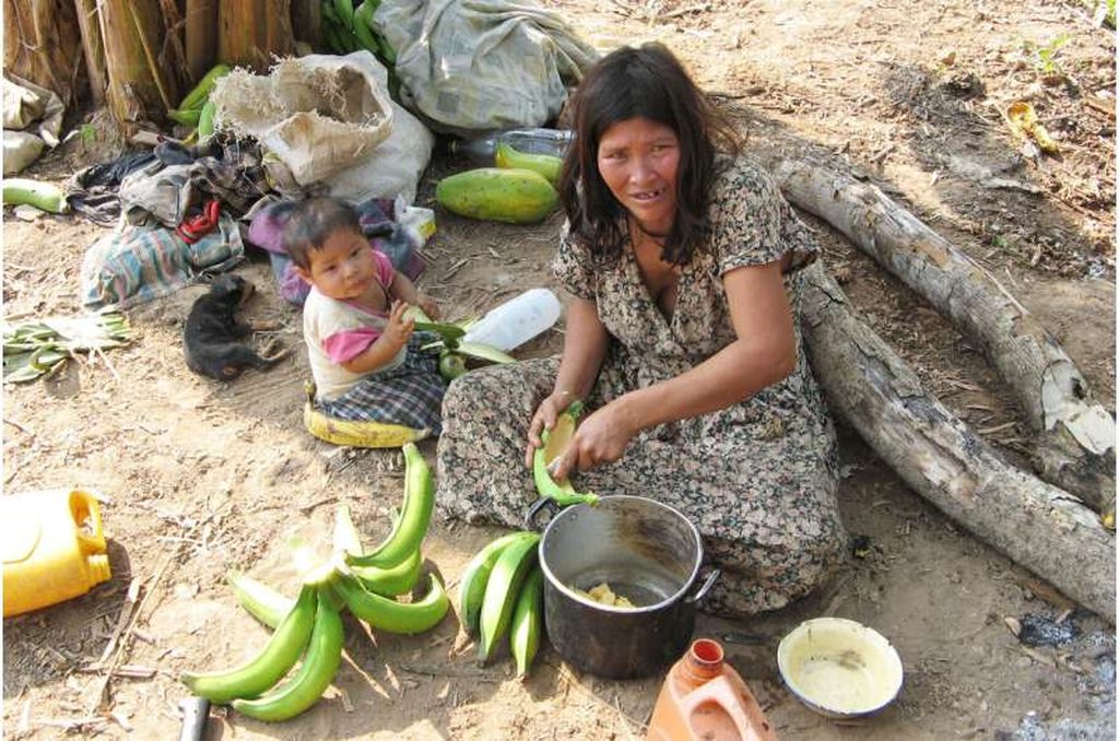 Serangkaian penelitian mengungkap rahasia kesehatan jantung dan otak masyarakat tradisional di Amazon hingga masa tua (Tsimane Health and Life History Project Team).