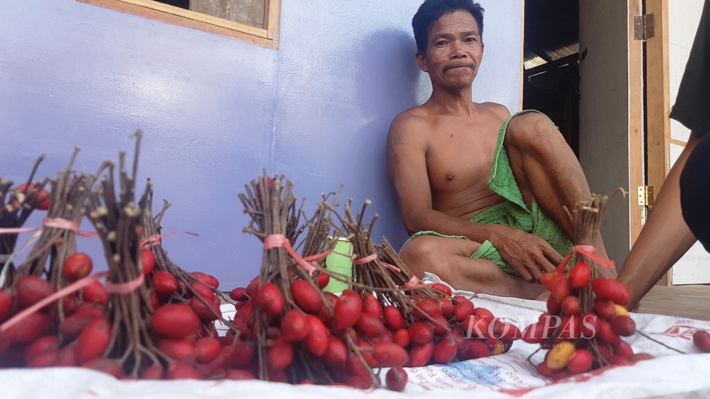 Ikil, warga Desa Pilang, Kabupaten Pulang Pisau, Kalimantan Tengah, sedang menunggu pembeli buah<i> bangkinang</i> yang ia kumpulkan dari hutan sekitar desa, Jumat (22/7/2022).