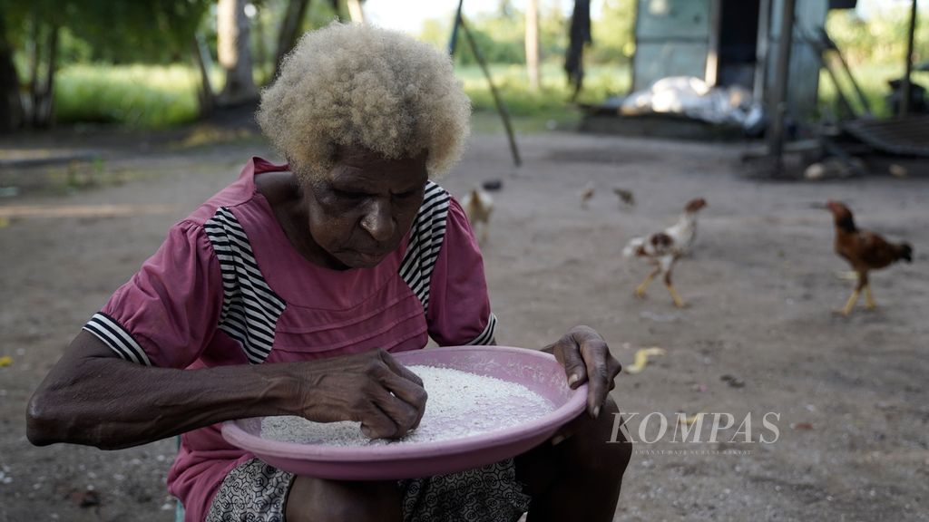 Yulita mengayak beras di Kampung Serapu, Distrik Semangga, Merauke, Papua, Selasa (7/11/2022). Pergeseran pola pangan dari sagu ke beras di Merauke dimulai seiring berbagai proyek cetak sawah yang dimulai Belanda yang dilanjutkan Pemerintah Indonesia dengan program transmigrasi.