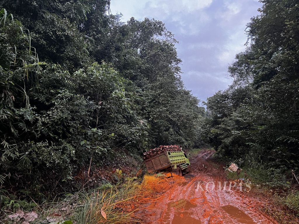 Sebuah truk pengangkut sawit terjebak di jalanan berlumpur saat keluar dari Desa Lalomerui, Routa, Konawe, Sulawesi Tenggara, Jumat (22/7/2022). Meski memiliki wilayah paling luas di Konawe, kecamatan ini sulit untuk didatangi karena akses yang begitu menantang.
