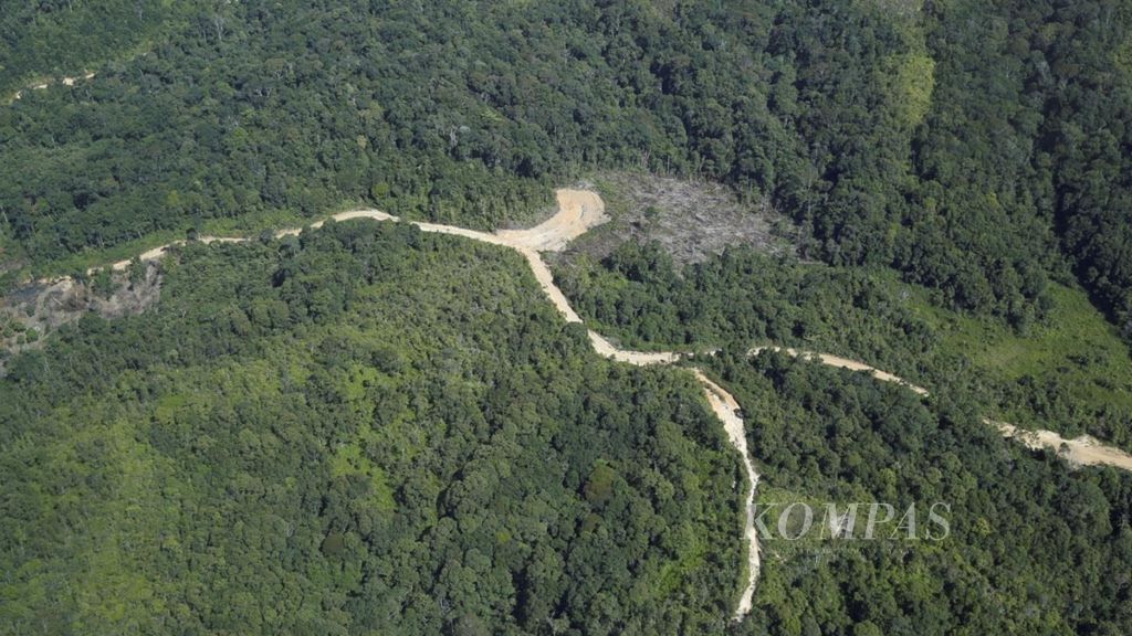 Area hutan dan permukiman penduduk yang terlihat dari pesawat dalam perjalanan dari Malinau menuju Kecamatan Krayan, Kabupaten Nunukan, Kalimantan Utara, (23/7/2017).