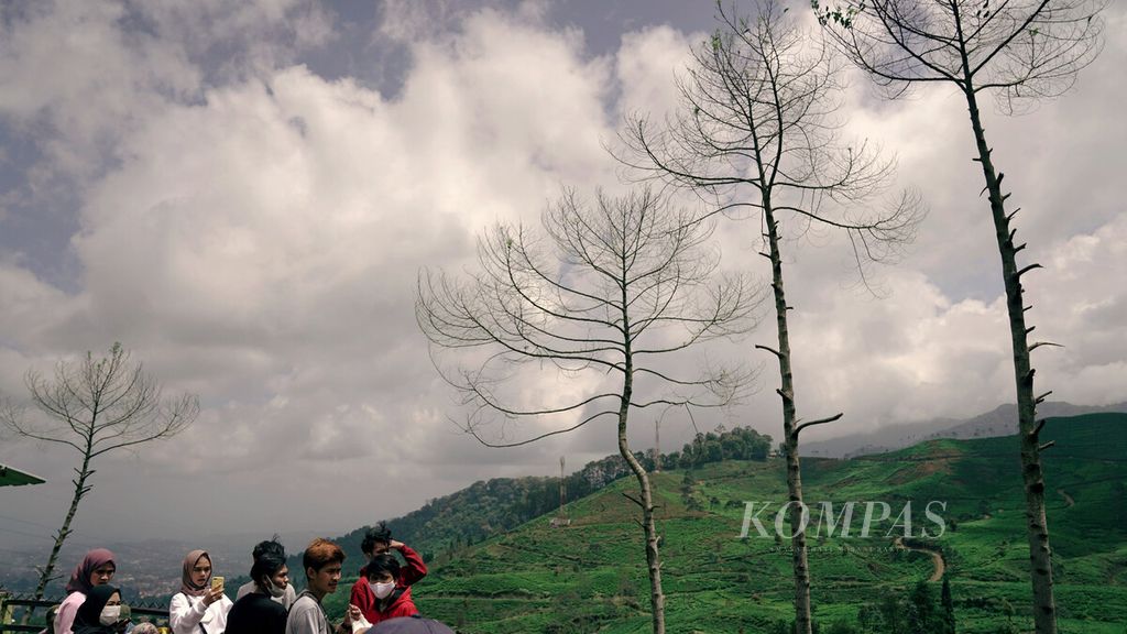 Wisatawan menikmati panorama perkebunan teh dari Puncak Pass Bogor, Kecamatan Cisarua, Kabupaten Bogor, Jawa Barat,Kamis (8/4/2021).