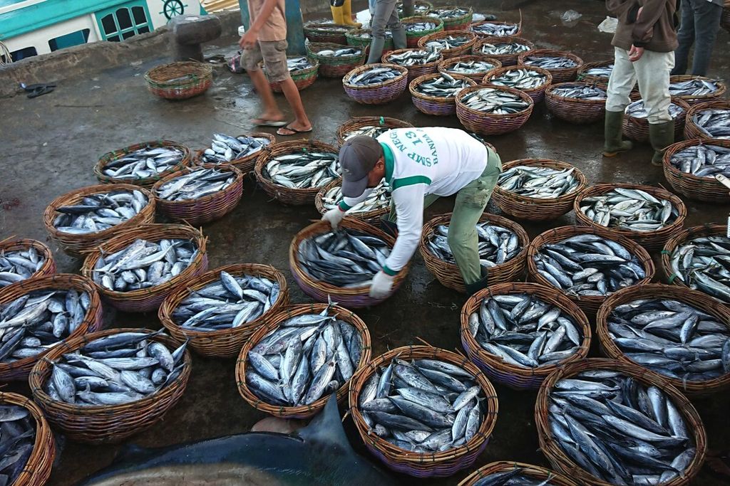 Para nelayan di Pelabuhan Perikanan Lampulo, Kota Banda Aceh, Provinsi Aceh, Minggu (17/4/2022) membongkar tangkapan berupa ikan kembung, dencis, tongkol, dan tuna. Potensi perikanan tangkap di Provinsi Aceh lebih dari 295 ton per tahun. Namun, yang bisa dimanfaatkan hanya 230.000 ton per tahun.