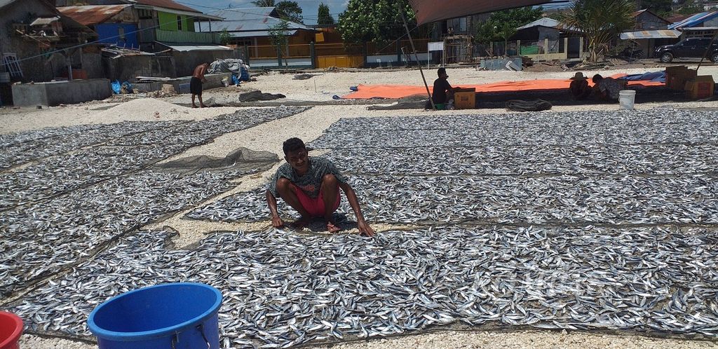 Nelayan menjemur ikan tembang di samping rumah kediaman di Oesapa Kupang, awal September 2022. 