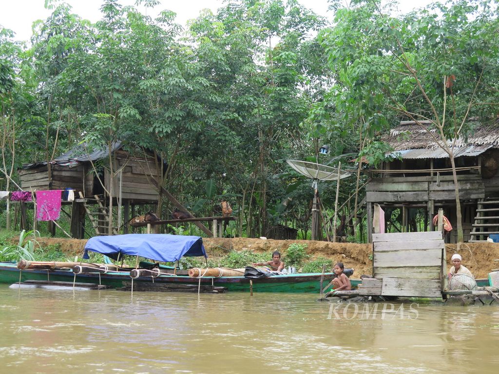 Suasana wilayah yang dihuni komunitas adat Batin Sembilan di Hutan Harapan, perbatasan Jambi dan Sumatera Selatan, November 2014.