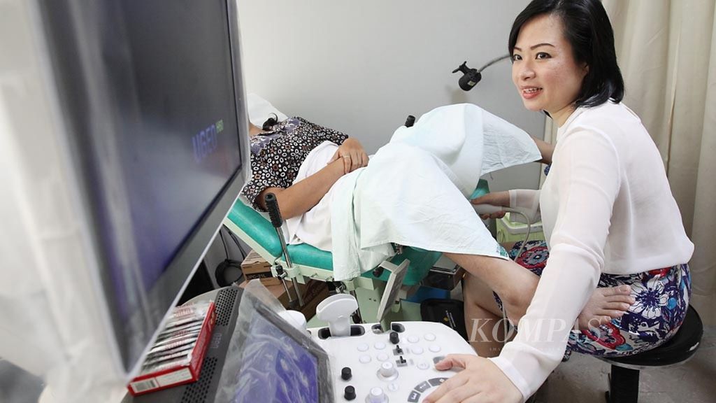 Pemeriksaan USG pada ibu hamil di RS Bunda, Menteng, Jakarta, Kamis (9/10). Deteksi dini pada ibu hamil diperlukan untuk mengantisipasi berbagai penyakit yang mungkin ditularkan kepada anak termasuk hepatitis. 