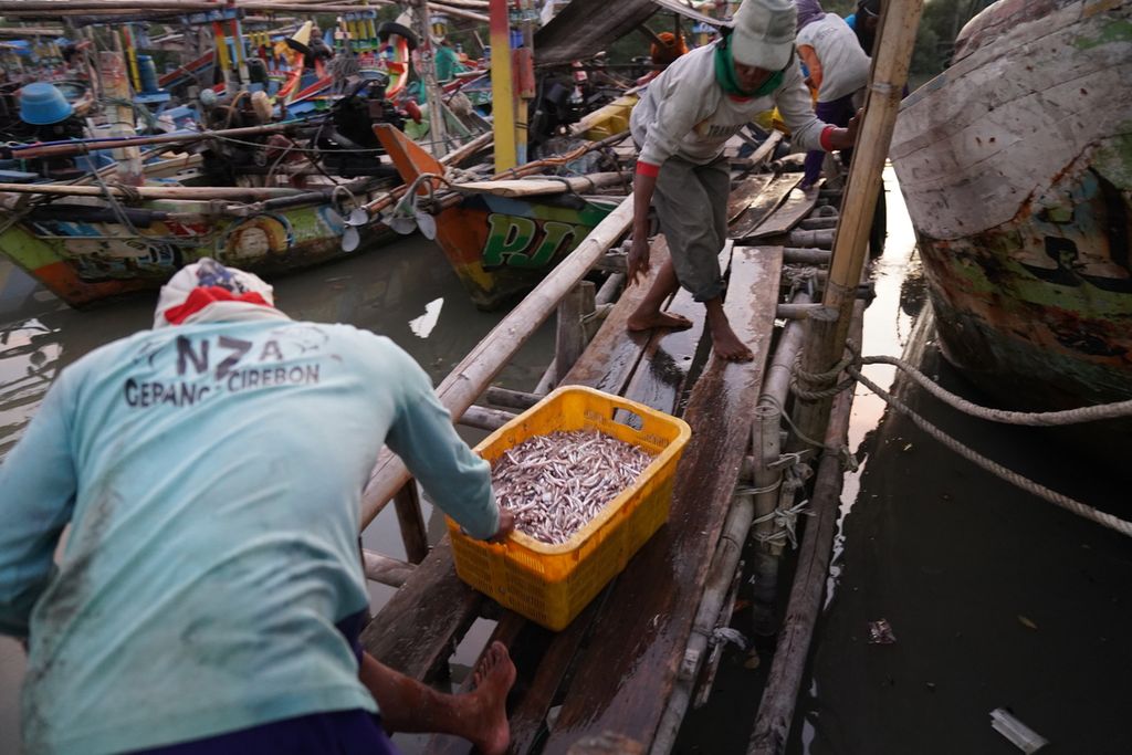 Nelayan menurunkan muatan teri dari kapal di Pelabuhan Gebang, Kabupaten Cirebon, Jawa Barat, Minggu (30/7/2023). Penghasilan nelayan di Gebang dari melaut antara Rp 50.000 dan Rp 100.000 per hari. Namun, terkadang juga tidak mendapat apa-apa jika hasil tangkapan sedikit atau cuaca sedang buruk.