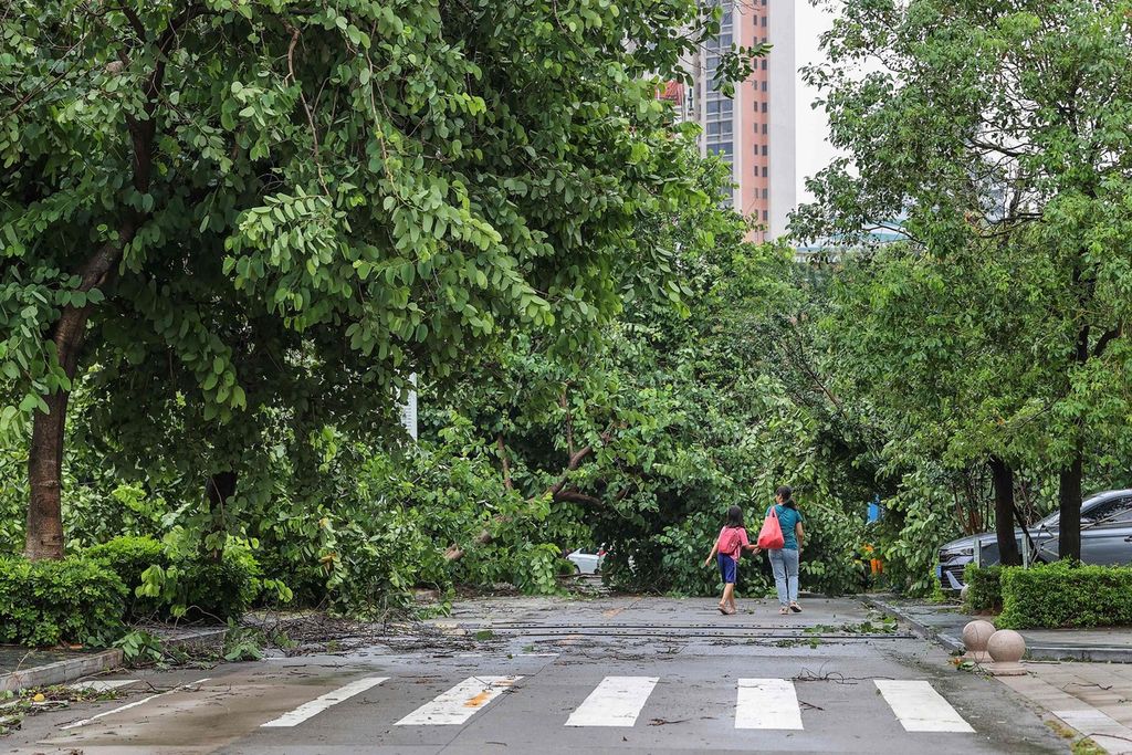Beberapa pohon tumbang diterjang topan Doksuri dan menutup sebuah ruas jalan di kota Jinjian, Provinsi Fujian pada Jumat (28/7/2023).