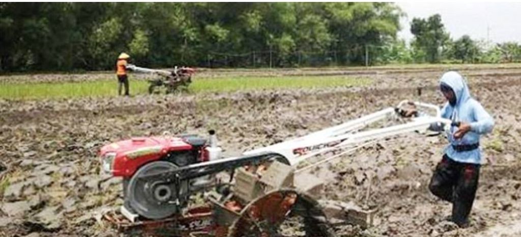 Petani <i>food estate</i> di Sumba Tengah, NTT, membajak lahan pertanian dengan traktor tangan bantuan Kementan. Januari 2020. Kini, petani kesulitan mendapatkan alat dan mesin pertanian, serta kesulitan mendapatkan air irigasi.