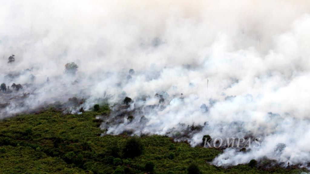Kebakaran terjadi di Desa Muara Medak, Kecamatan Bayung Lencir, Kabupaten Musi Banyuasin, Sumatera Selatan, Minggu (29/7/2018). Lima helikopter dikerahkan untuk memadamkan api yang membara di atas lahan gambut tersebut.