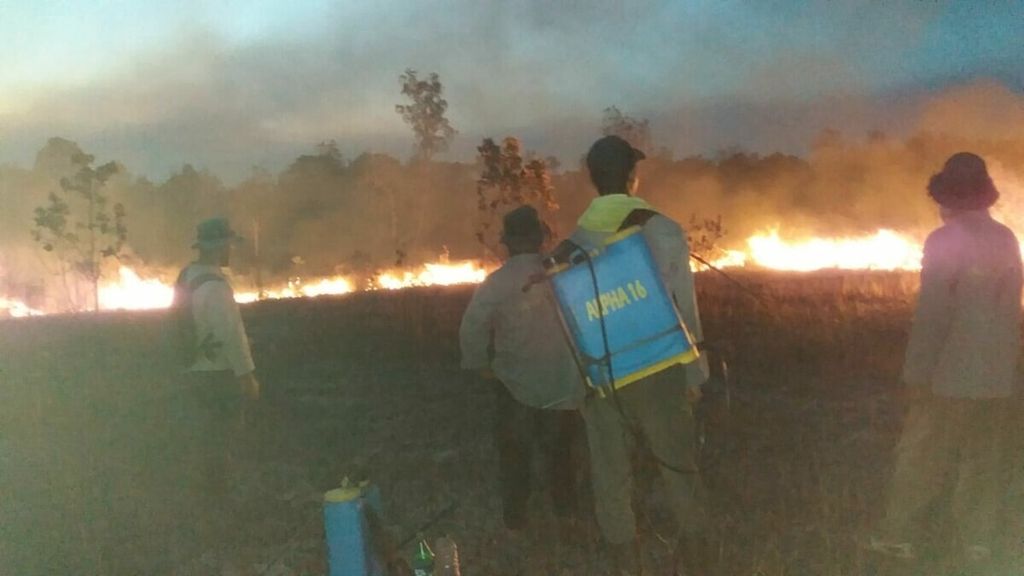 ILUSTRASI. Kawasan padang ilalang di Taman Nasional Way Kambas, Lampung Timur, terbakar, Minggu (6/10/2019). 