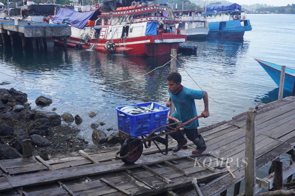 Pekerja mengangkut ikan tongkol ke sebuah gudang pendingin ikan di Banda Naira, Kabupaten Maluku Tengah, Maluku, Rabu (20/9/2023).