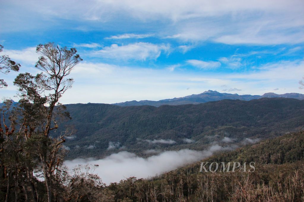 Pemandangan hutan yang terbentang di kawasan Taman Nasional Lorentz, Papua, dengan latar belakang Puncak Trikora di Kabupaten Jayawijaya, Kamis (11/10/2012). Kawasan konservasi itu merupakan salah satu situs alam warisan dunia yang memiliki ekosistem terlengkap di bumi.