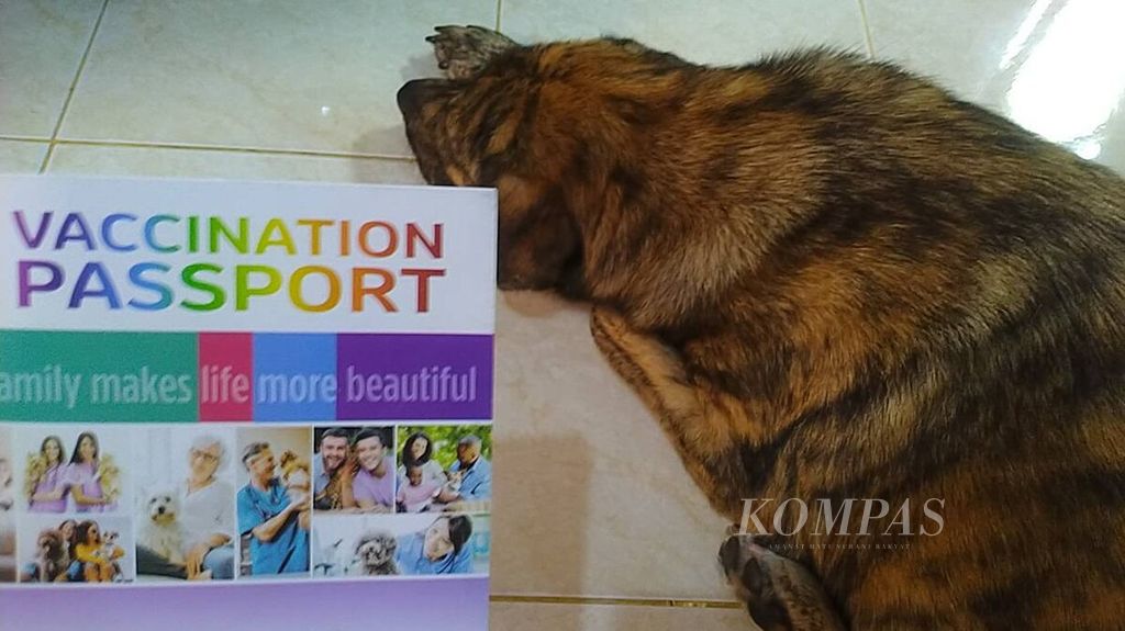 Bali has not yet been free from rabies cases. As of July 2023, rabies infections have resulted in four deaths in Bali. Maintaining pet animals, including providing rabies vaccines to dogs, is an effort to prevent the spread of rabies.