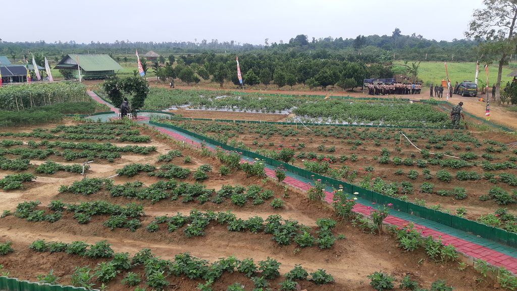 Hamparan tanaman hortikultura yang terletak di Agrowisata Tekno-44 yang terletak di Desa Gelebak Dalam, Kecamatan Rambutan, Kabupaten Banyuasin, Sumatera Selatan, Senin (13/2/2023).