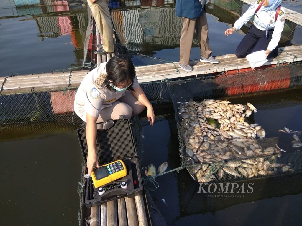 Petugas Balai Karantina Ikan, Pengendalian Mutu, dan Keamanan Hasil Perikanan (BKIPM) Semarang mengecek ikan yang mati massal di Waduk Kedung Ombo, Kabupaten Sragen, Jawa Tengah, 1 Juli 2019.