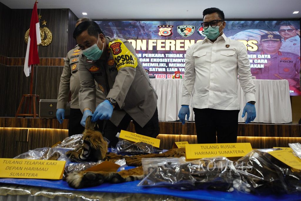 Kepala Kepolisian Daerah Aceh Inspektur Jenderal Achmad Kartiko memeriksa kulit harimau sumatera yang disita dari tersangka, 22 Januari 2024, di Banda Aceh.