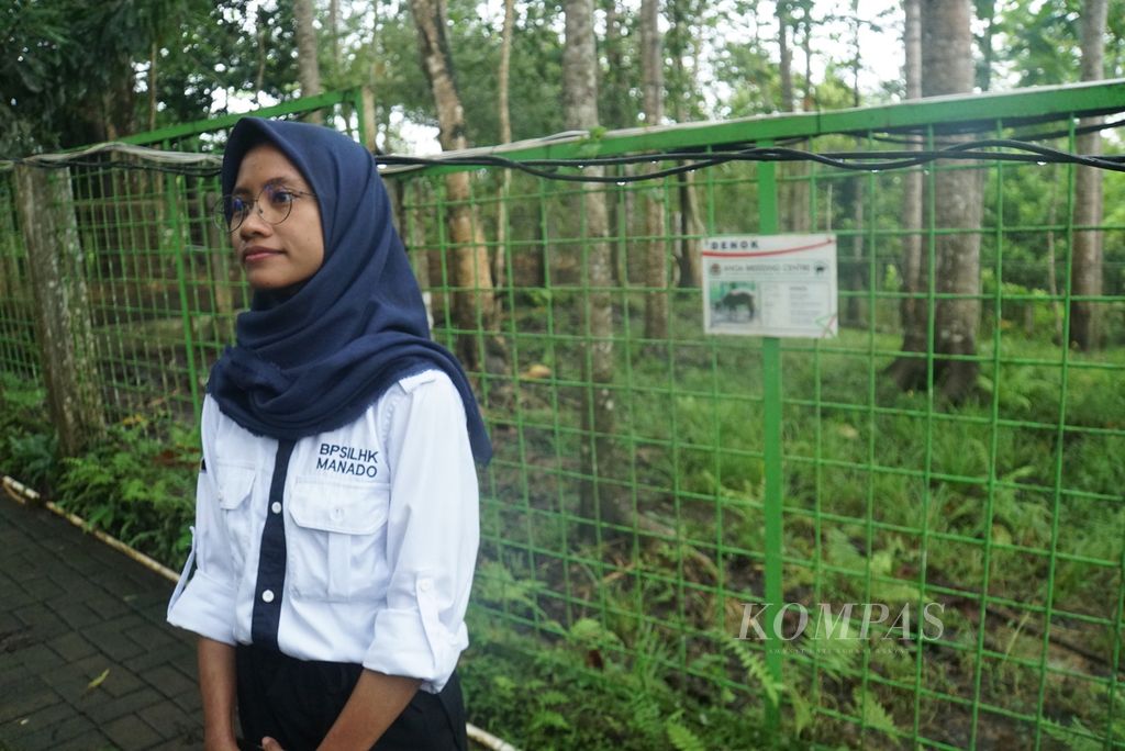 Drh Afifah Hasna, dokter hewan di Anoa Breeding Center Manado, Sulawesi Utara, ketika ditemui pada Kamis (2/2/2023) di dekat kandang anoa (<i>Bubalus depressicornis</i>). Setelah dua kali percobaan, ia adalah dokter hewan pertama yang berhasil melaksanakan operasi caesar untuk membantu kelahiran anoa.