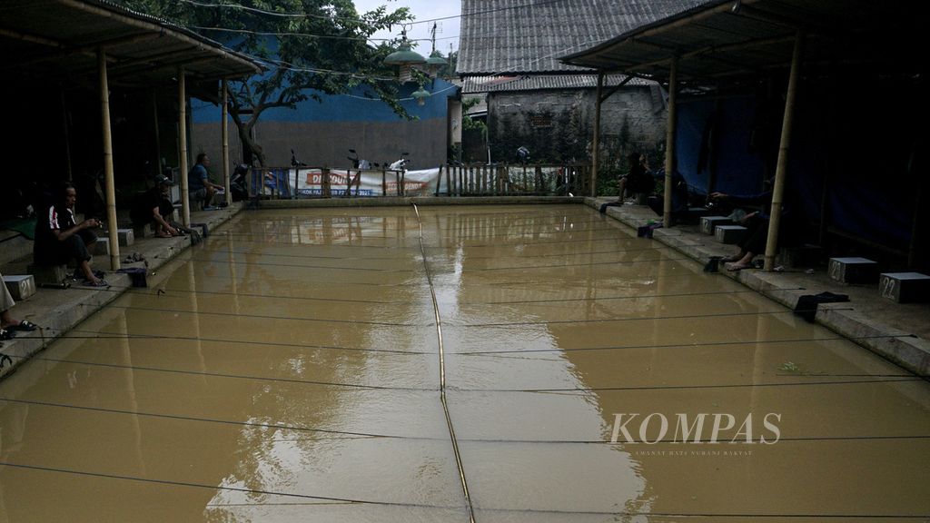 Salah satu kolam ikan di Desa Pandansari, Kabupaten Bogor, Jawa Barat, yang tercemar air Sungai Cibalok yang keruh berlumpur. Air Cibalok terdampak proyek pembangunan Bendungan Ciawi dan Bendungan Sukamahi. 