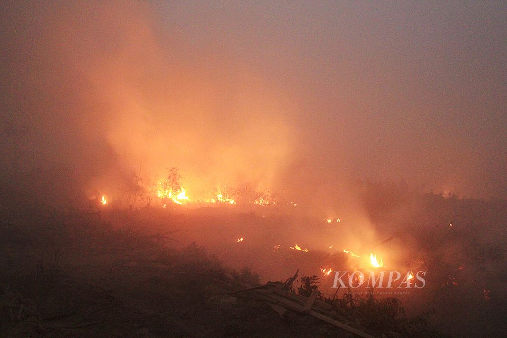 Kebakaran lahan seluas sekitar 10 hektar di Jalan Tampung Penyang, Palangkaraya, Kalimantan Tengah, Rabu (21/10/2015) petang. 