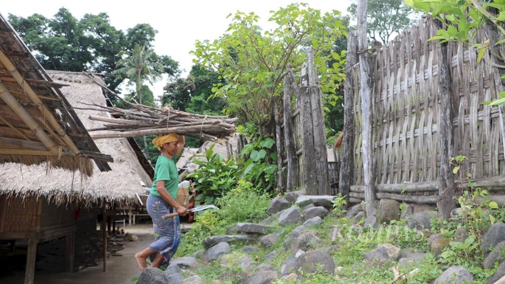 Warga kampung tradisional suku Sasak di Dusun Sembagik, Desa Sukadana, Lombok Utara, Nusa Tenggara Barat, Neng Sanip (istri Sirmati, <i>amak loka</i>' atau tetua adat), mengambil kayu bakar sebagai bahan bakar untuk memasak keperluan rumah tangganya.