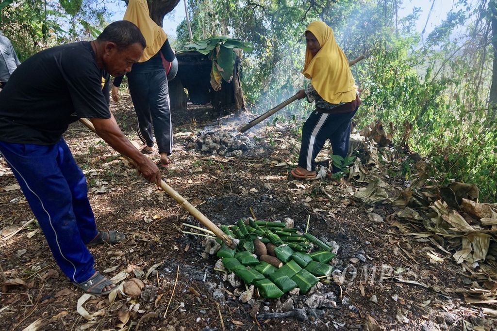 Olahan ubi, singkong, dan pisang yang akan menjadi tombole diletakkan di batu panas, di Desa Pajam, Kaledupa Selatan, Wakatobi, Sulawesi Tenggara, Selasa (29/8/2023). Tombole adalah hasil olahan pangan lokal dengan proses bakar batu.