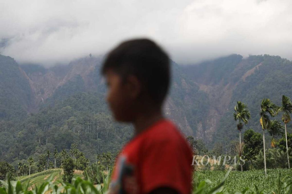 Beberapa lokasi longsor di Gunung Talamau, Pasaman, pascagempa bermagnitudo 6,1 terlihat dari Nagari Malampah, Tigo Nagari, Pasaman, Sumatera Barat, Minggu (27/2/2022).