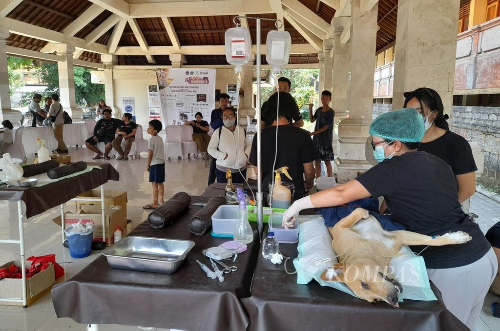 Dinas Pertanian dan Ketahanan Pangan Provinsi Bali bersama sejumlah organisasi dan lembaga terkait penanganan rabies, Sabtu (7/10/2023), mengadakan kegiatan vaksinasi rabies secara massal di 10 lokasi di Bali, termasuk vaksinasi massal di Wantilan Setra Agung Badung oleh Dinas Pertanian Kota Denpasar.